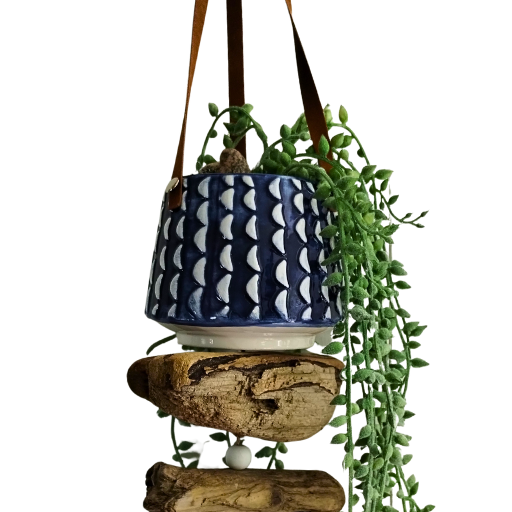 Hanging Driftwood & Ceramic “Plant”er