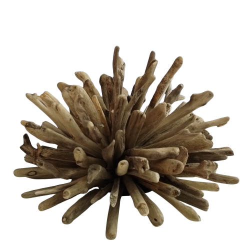 Driftwood sculpture on a white background