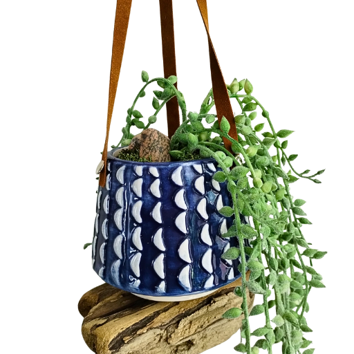 Hanging Driftwood & Ceramic “Plant”er