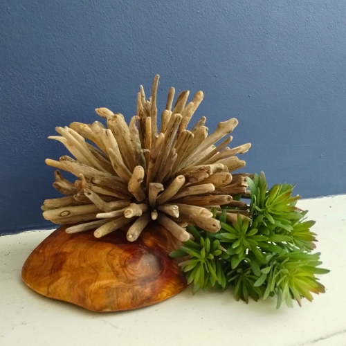 Driftwood sculpture with a green plant on a white surface against a blue wall
