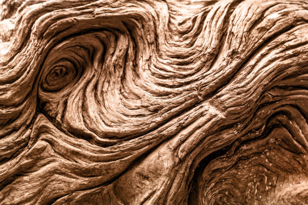 Close-up of swirling brown driftwood texture