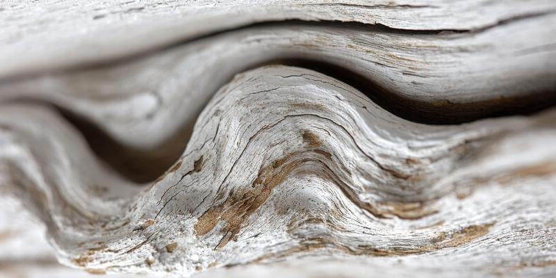 Close-up of textured wooden surface with natural patterns